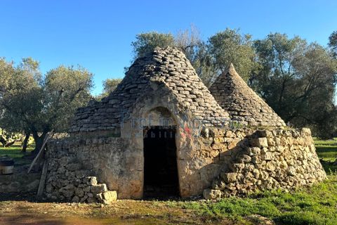 Landejendom i Ostuni, Brindisi, Ostuni - € 90.000 | Ref: 172814 - foto 3